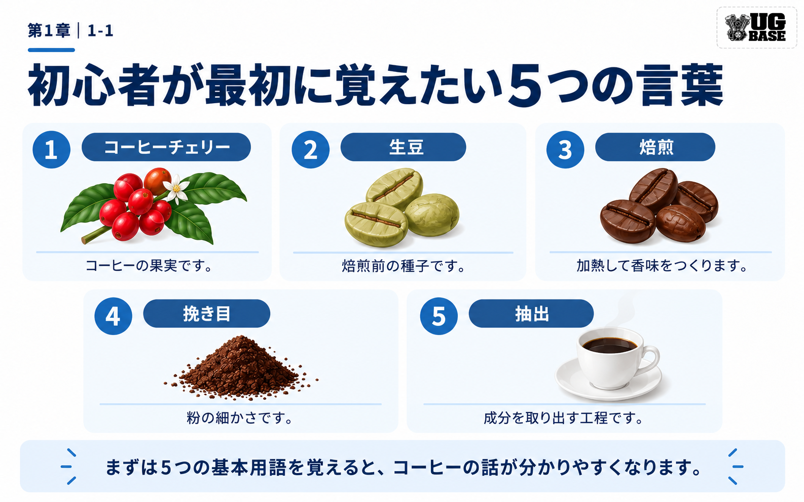コーヒーチェリー、生豆、焙煎、挽き目、抽出の5つの基本用語を示した図解