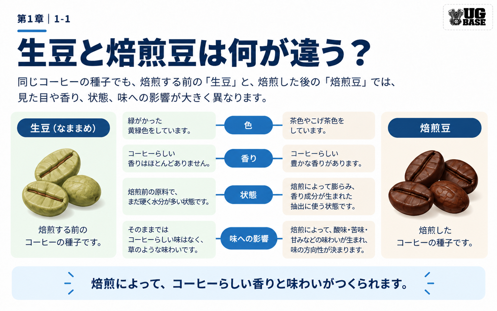 生豆と焙煎豆の色、香り、状態、味への影響の違いを比較した図解
